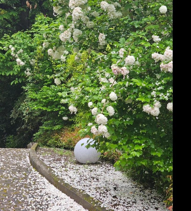 L'Ortensia Della Villa Isabella, Camera Con Vista Lago, Balcone Sul Parco E Bagno Esclusivo All'Esterno Della Camera Stresa Luaran gambar